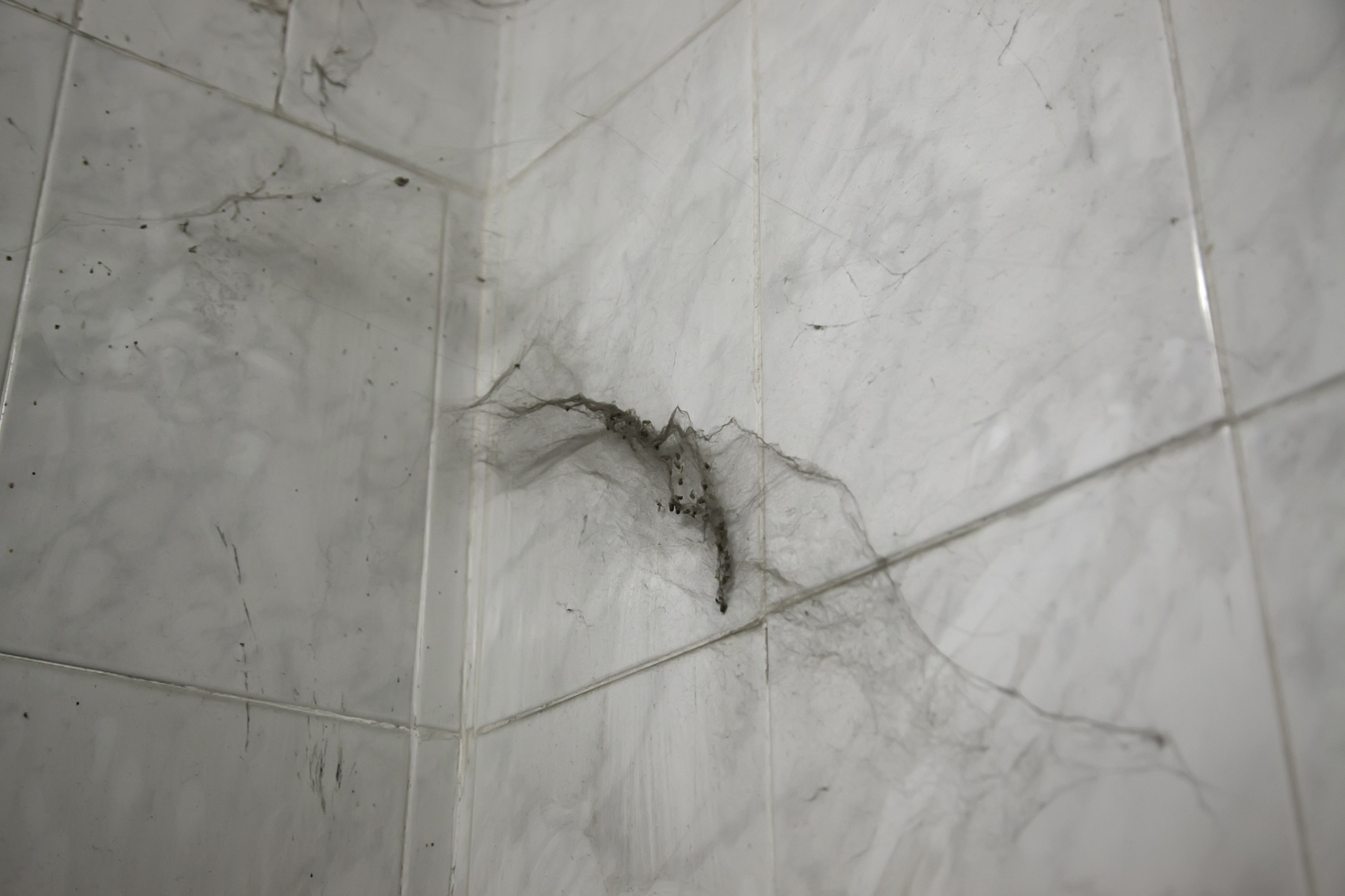 卫生间墙面砖空鼓会掉吗(卫生间墙面砖空鼓了如何处理)